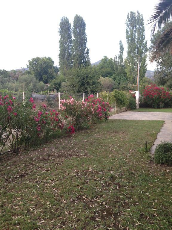 Villa Niki Neos Marmaras Exteriör bild
